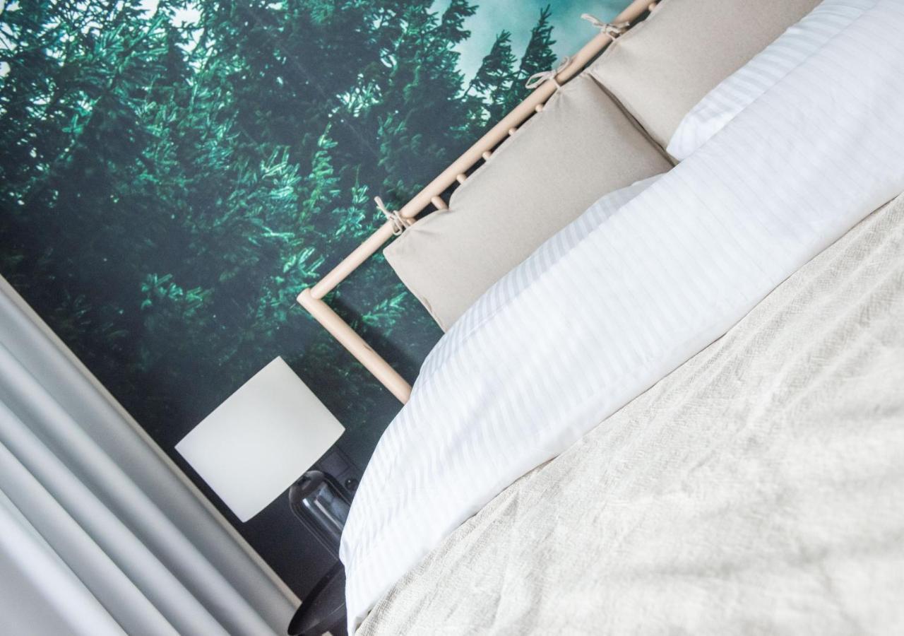 Koscierzynkowo Apartment Косцежина Екстериор снимка